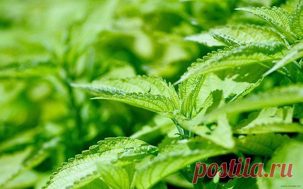 Интересные новости