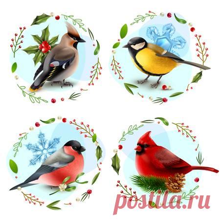 бумага для блокнотов со снегирями: 10 тыс изображений найдено в Яндекс.Картинках