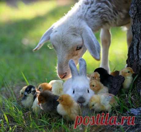 7ра