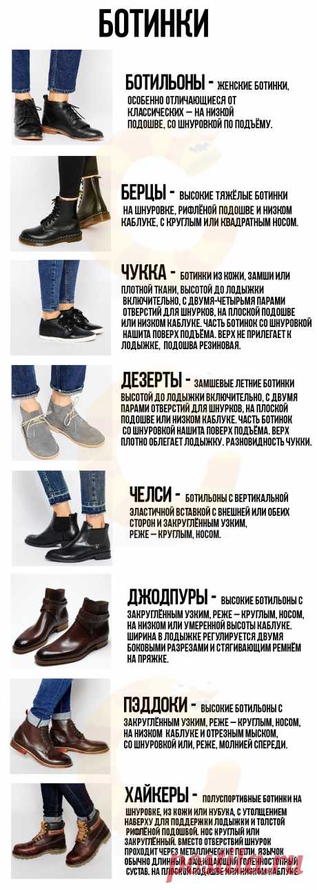 Мега-путеводитель по женской обуви – в картинках