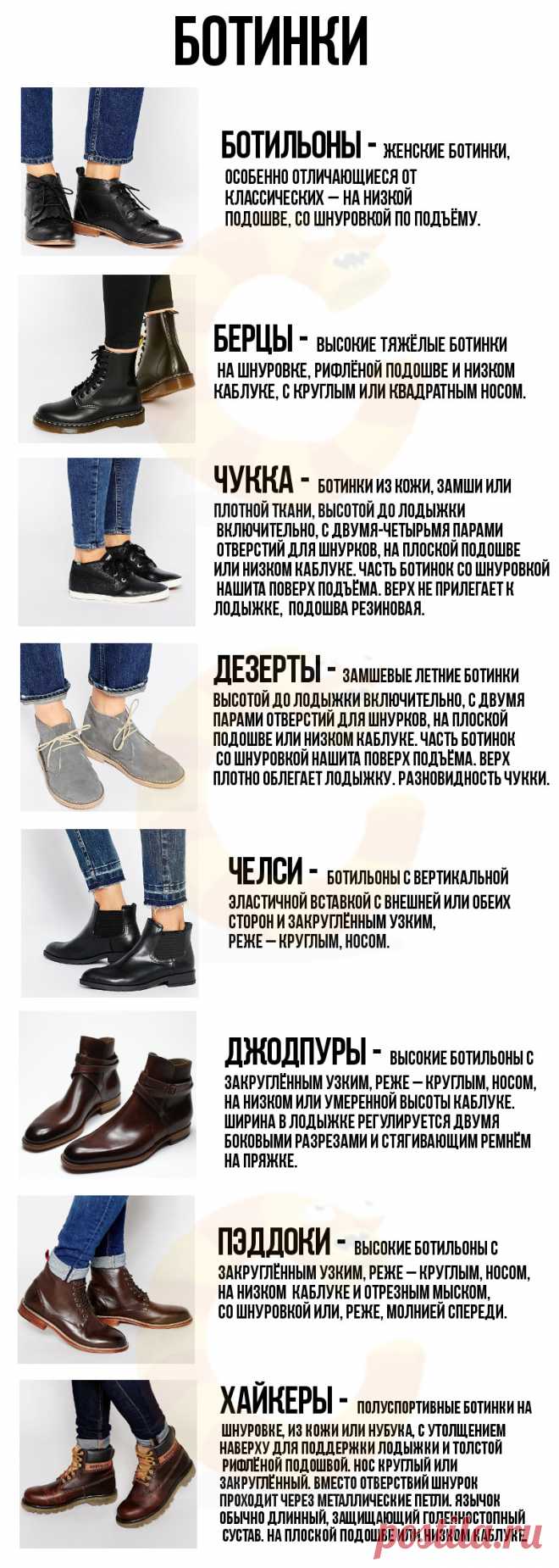 Мега-путеводитель по женской обуви – в картинках