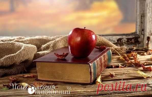 Я часто думаю об этом выражении: «Пойти подышать воздухом». Оно означает, что за воздухом тебе приходится идти куда-то в другое место. Что там, где ты сейчас, ты задыхаешься.