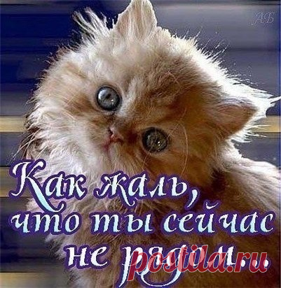 Архив открыток отправленных 15 Января 2016 года. Добавили: Вольный Монах, U U, Галина Соловьёва, Марина Соколова, Иринa П, Владимир Карпенко, Эдгар Mzade