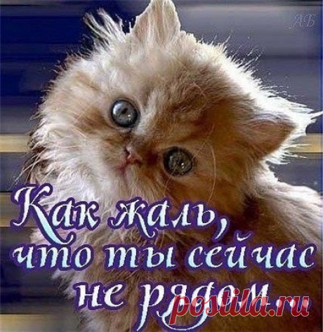 Архив открыток отправленных 15 Января 2016 года. Добавили: Вольный Монах, U U, Галина Соловьёва, Марина Соколова, Иринa П, Владимир Карпенко, Эдгар Mzade