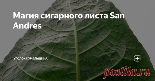 Магия сигарного листа San Andres Глубокие ноты широчайшего диапазона от тёмного шоколада до сладкого ореха, сдобренные не менее богатыми оттенками земли - за всё это стоит благодарить наверное самый уникальный табак, а точнее табачный лист из Мексики - San Andres. В чём его особенности и какие сигары являют его с самой лучшей стороны? Узнаем прямо сейчас! Если в вашем хьюмидоре есть сигары с покровным листом San Andres, то с уверенностью в 98% можно сказать, что этот лист ...