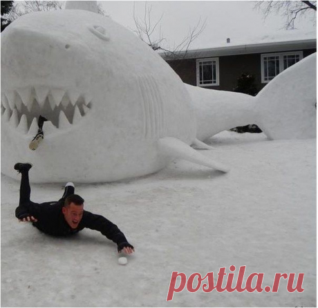 &quot;У моего друга, инвалида, определённо есть чувство юмора&quot; | postila.ru/post/category/shopping