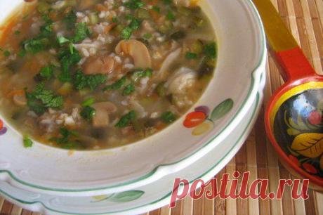 Суп из грибов с перловкой в мультиварке