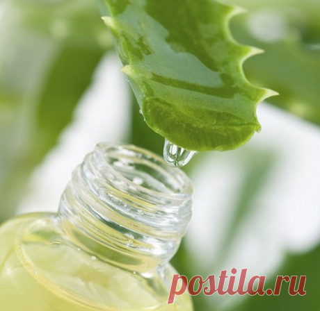 Народная медицина