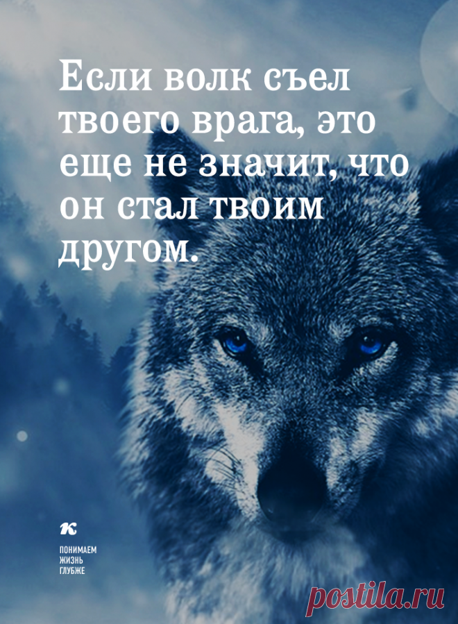 Если волк съел твоего врага, это не значит, что он стал твоим другом