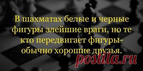 709869625.jpg (604×299)