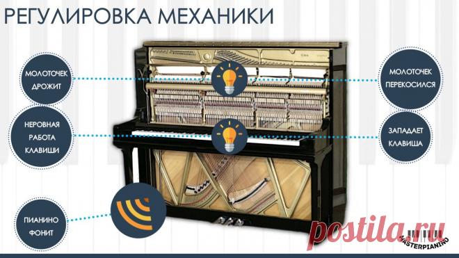 Регулировка пианино профессионально. Регулировка механики пианино в Москве