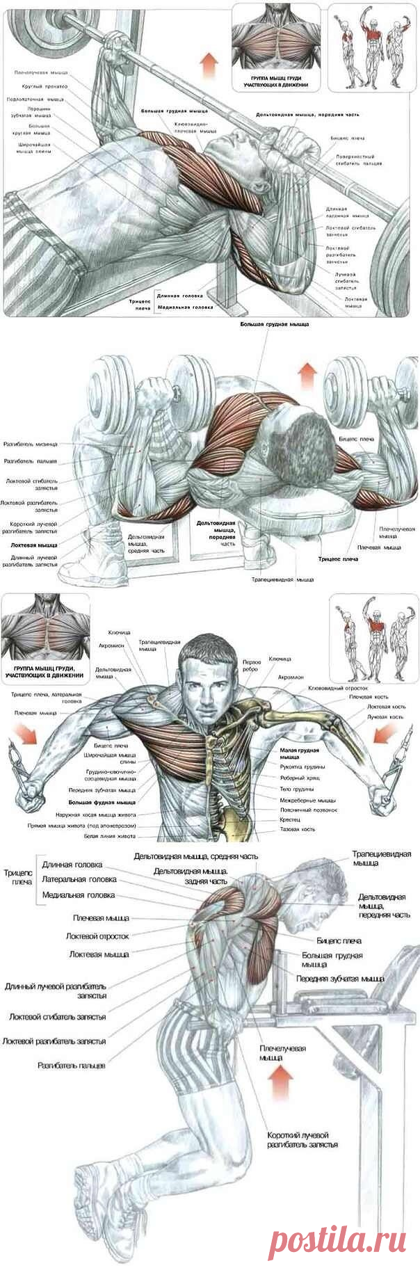Одноклассники