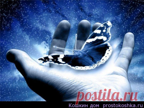 Почему не работают рунескрипты и формулы | Кошкин дом