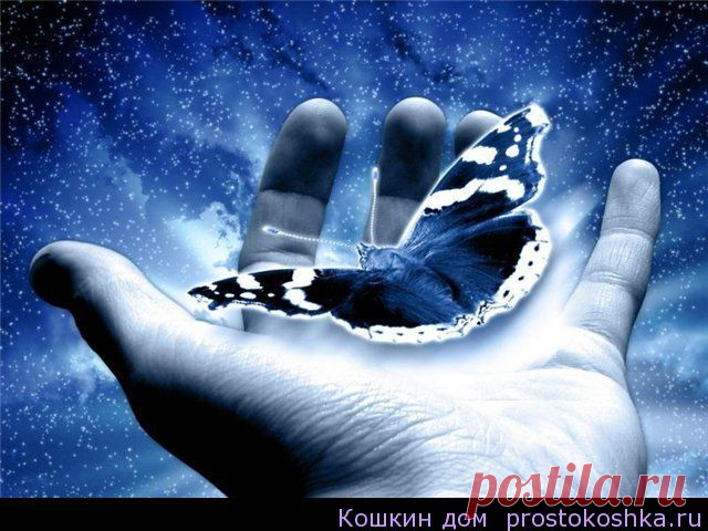 Почему не работают рунескрипты и формулы | Кошкин дом
