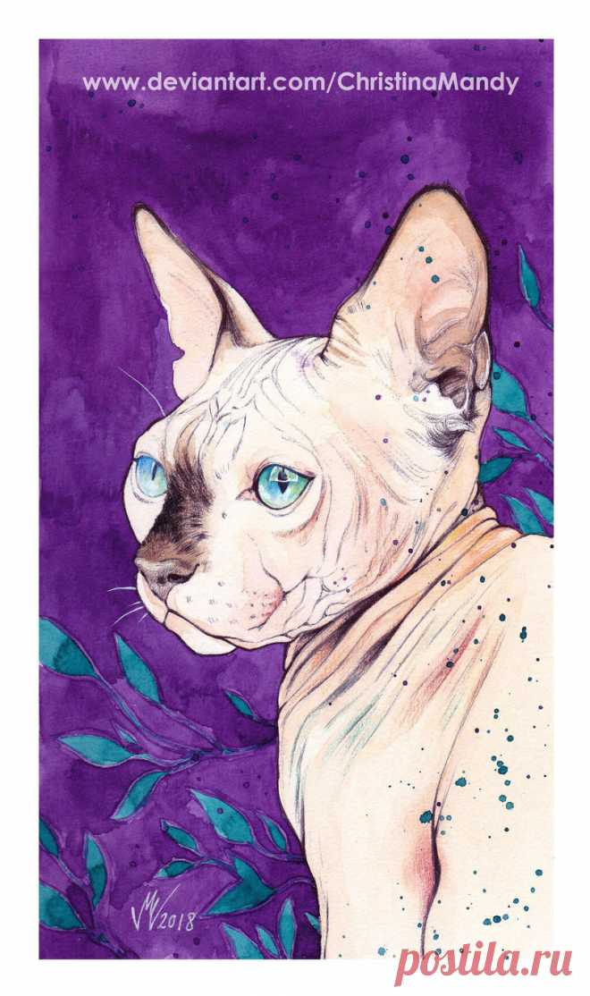 Little Sphynx by ChristinaMandy on DeviantArt