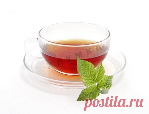 Каждый день новые рецепты