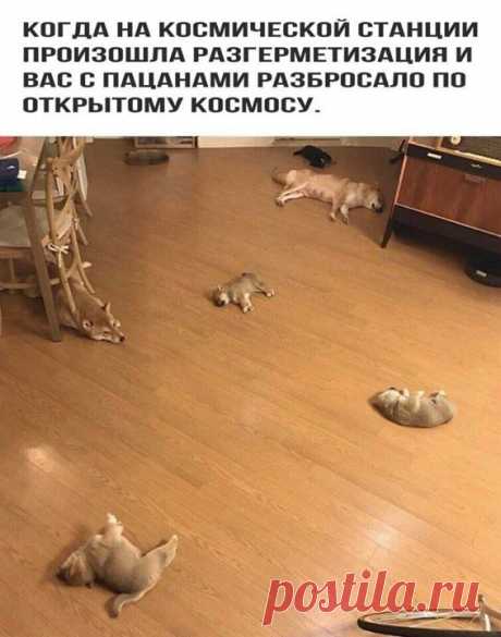 +