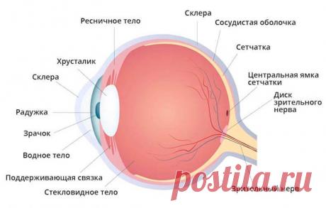 Отслоение сетчатки