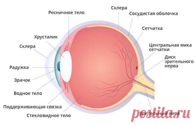 Важно! Что такое отслоение сетчатки? | Всегда в форме!