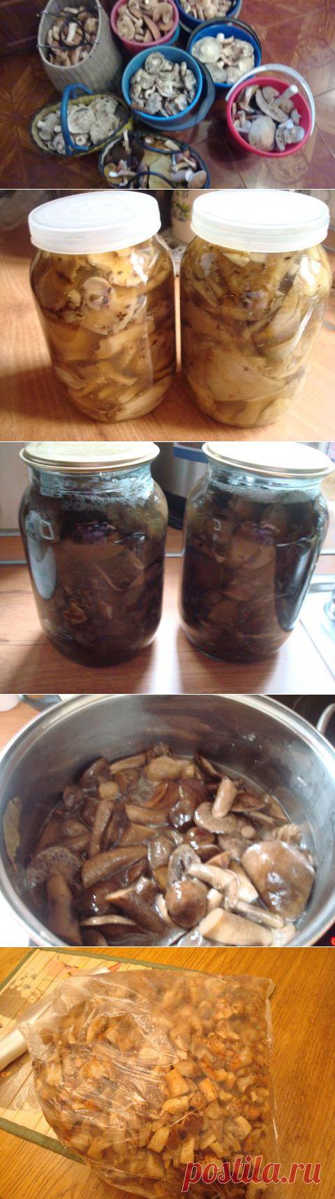 Заготовка грибов на зиму. Солим, сушим, маринуем | 4vkusa.ru