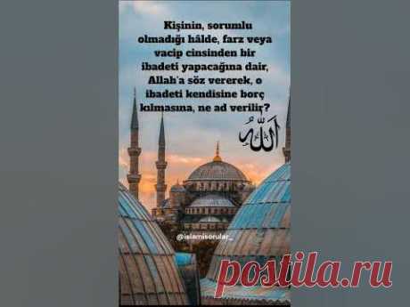 (297. Gün) Kaç tanesine doğru cevap verebilirsiniz? Nokta, Virgül, Dahi ...