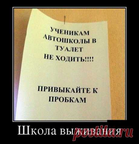 Школа выживания