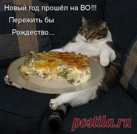 ЮМОР-ПОРТАЛ ▒ВИДЕО ☞ ФОТО ☞ ПРИКОЛЫ▒⎝⏜⏝⏜⎠
александр дмитриев