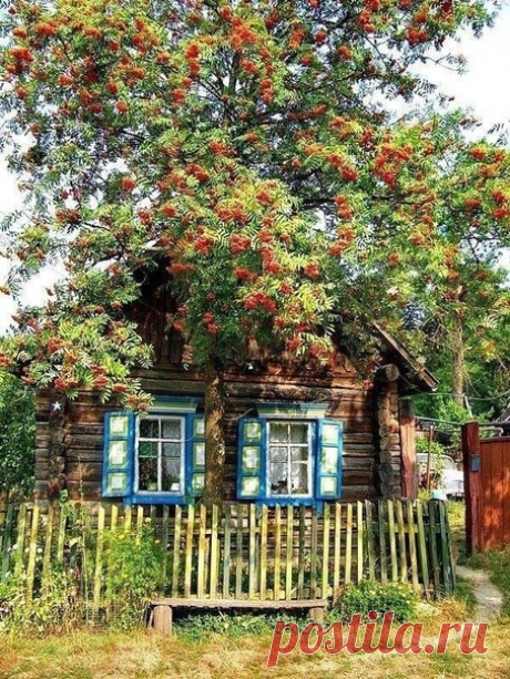 Сейчас туда бы - в детство, на часок...
