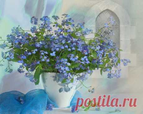 (14) Одноклассники