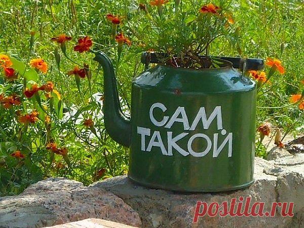 Когда мы правы, мы часто сомневаемся, но ошибаемся мы обычно с полной уверенностью.