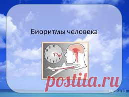 Клиника "Врач+"- вызов врача на дом, УЗИ,ЭКГ,ЭЭГ