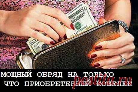 Что учитывать, выбирая портмоне, в котором не заканчиваются денежки? | Tanfest