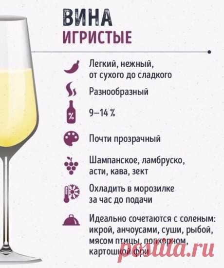 Шпаргалки для тех, кто любит вино — Кулинарная книга - рецепты с фото