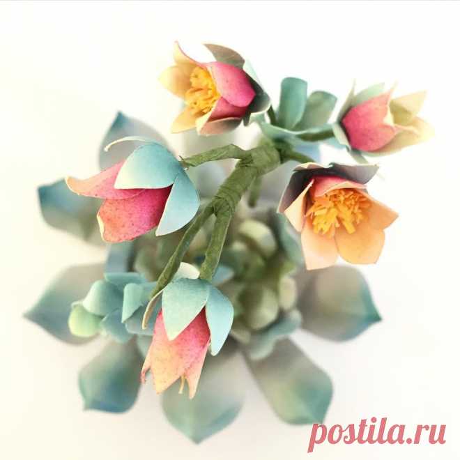 Flowering succulent ::: view from the top

#flower #paperflower #pin #paperart #succulent #echeveria #papersucculent