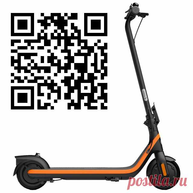 Ninebot KickScooter C2