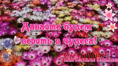 Давайте будем верить в чудеса! Открытка для друзей🌼(Бесплатная открытка)🌷