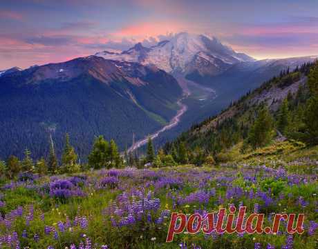 Национальный парк Олимпик (Olympic National Park), США