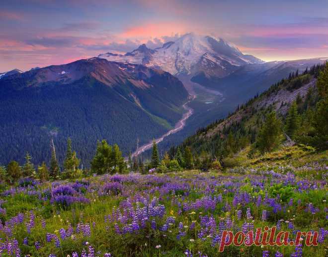 Национальный парк Олимпик (Olympic National Park), США