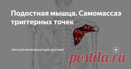 Подостная мышца. Самомассаэ триггерных точек Статья автора «Йога для начинающих для здоровья» в Дзене ✍: Подостная мышца (Musculus infraspinatus) — это плоская, треугольная мышца, которая заполняет подостную ямку лопатки и является частью...