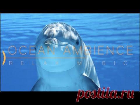 Спокойная Музыка Для Снятия Стресса  - RELAXING PIANO - Music - Шум Океана / Stress Relief Music