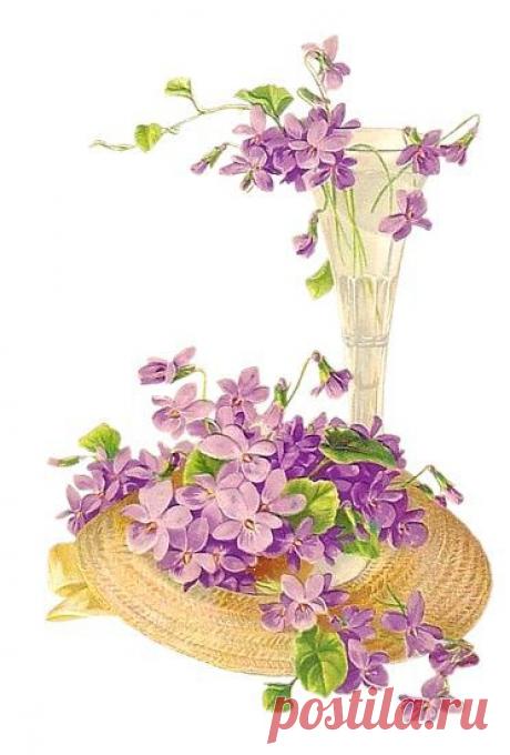 Найдено на сайте mamietitine.centerblog.net.