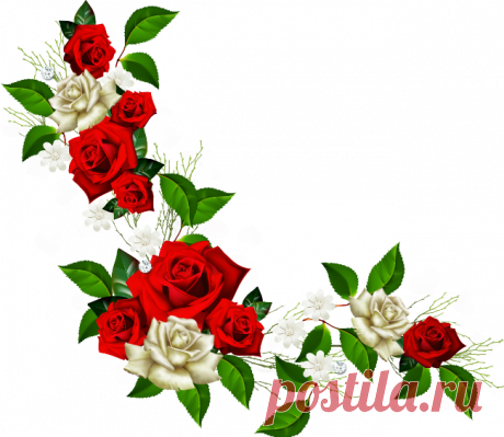 разные красивые детали на прозрачном фоне: 19 тыс изображений найдено в Яндекс.Картинках