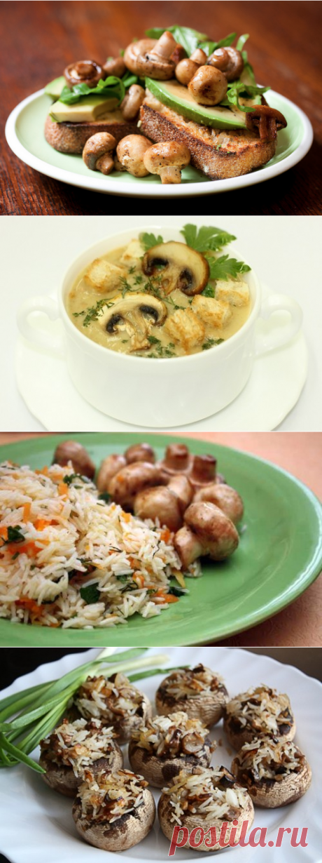 Шампиньоны: рецепты постных блюд / Простые рецепты