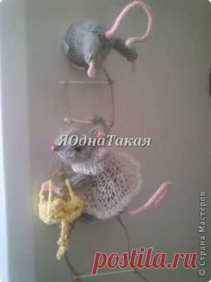 Темы дня
