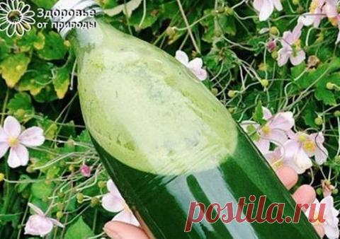 Чудо-средство из подорожника