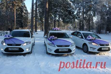 Фиолетовый кортеж