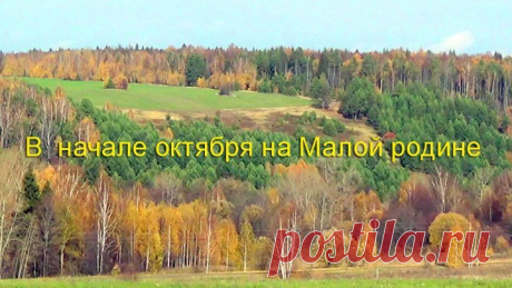 Золотой денек...