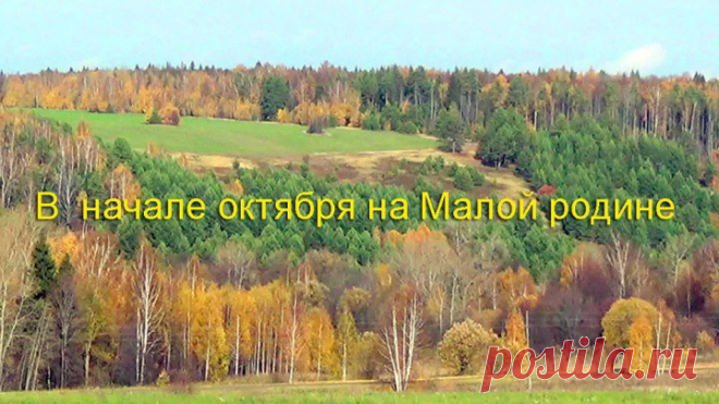 Золотой денек...