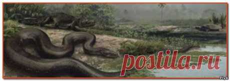 Огромные змеи прошлого - Титанобоа | Тайны Земли | Плюк - Обо всем на свете помаленьку