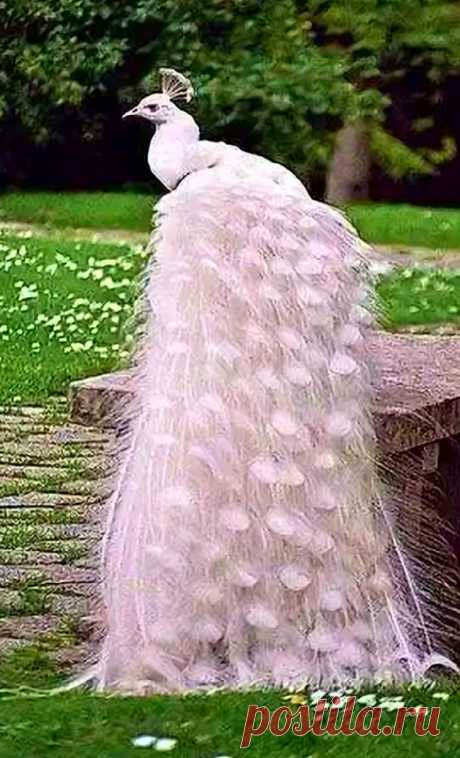 The world is wonderful - Мир прекрасен – Google+